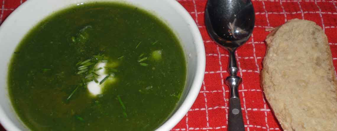 Den grønne suppe