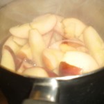 Kog æblebåde i en smule vand.