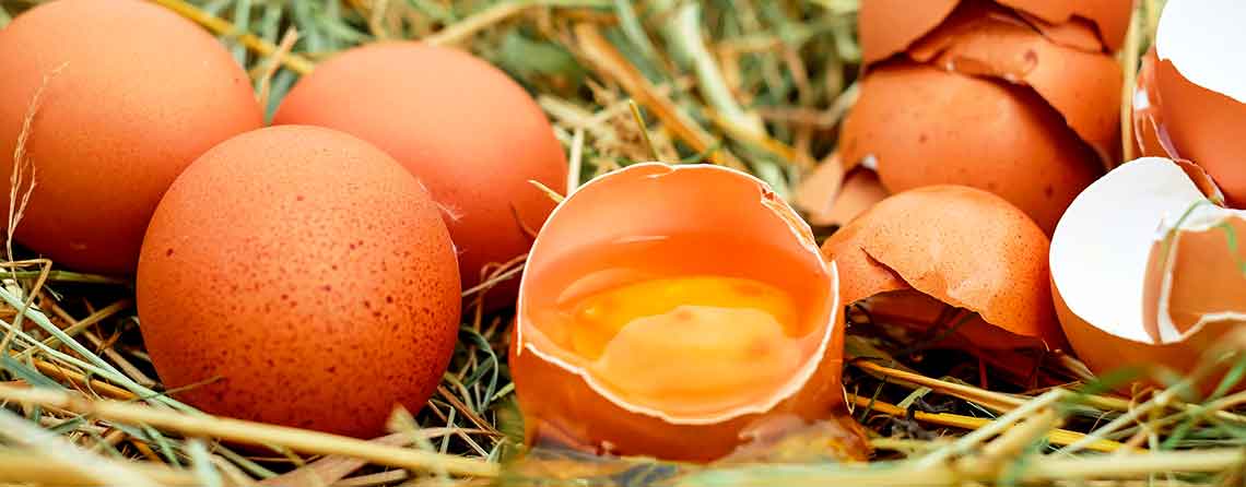 Sådan deler du rå æg